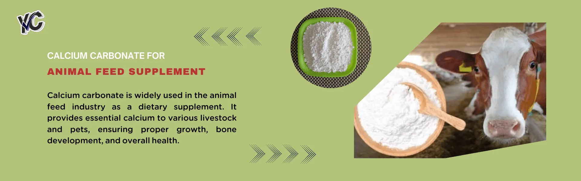 calcium carbonate for animal feed supplement manufacturer in india